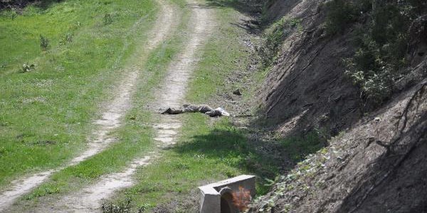 Kay�p bek�inin cesedi bulundu