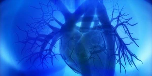 Kalp tamir eden vir�s