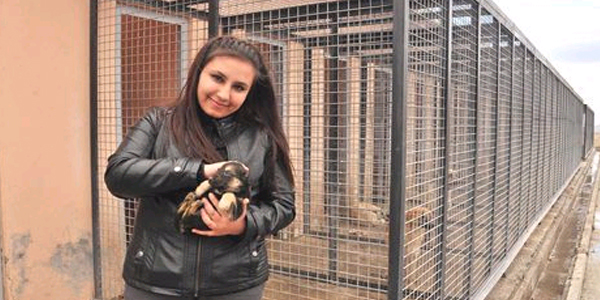 Mamak Belediyesi'nden sokak hayvanlar�na yuva kampanyas�