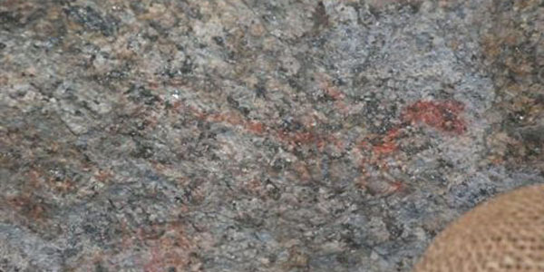 Aydn'da 7 bin 500 yllk kaya resimleri