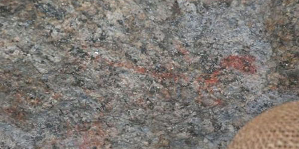 Aydın'da 7 bin 500 yıllık kaya resimleri