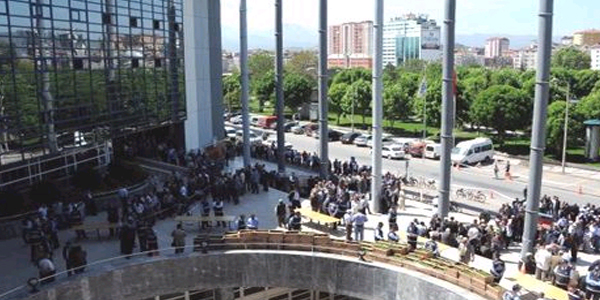 Kayseri'de organik domates fidesi kuyruğu