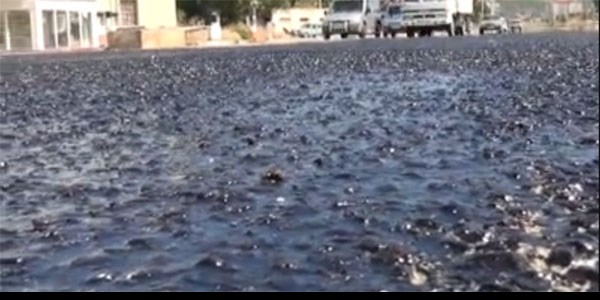 Bu ilimizde s�cak hava asfalt� eritti