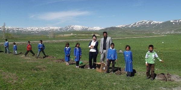 Her öğrenciye 1 çam fidanı
