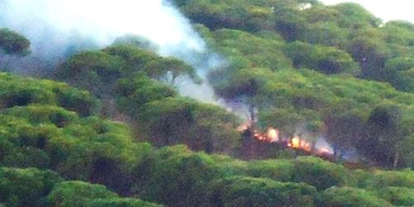 Edremit'te piknik�iler yang�n ��kard�