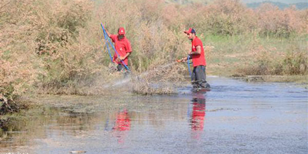 Alia�a'da sivrisinek ila�lamas� s�r�yor