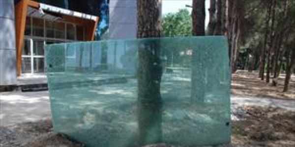 Torbal�'daki dev akvaryumun cam�n� k�rd�lar