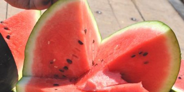'Ucuz karpuz satma' cinayetinde 1 kişi mahkemeye sevk edildi