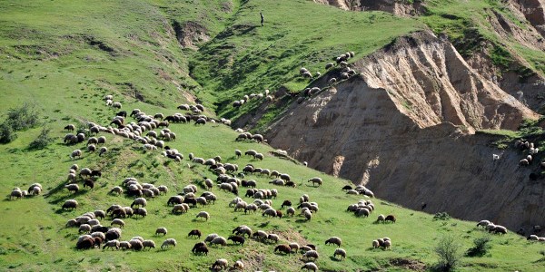 Yasakl� yaylalar a��ld�, askerler k��las�na �ekildi