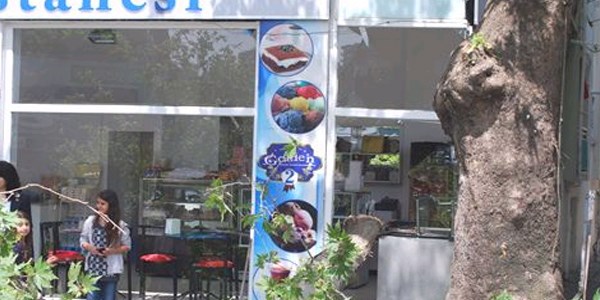 Çınar ağacı pastaneye girdi