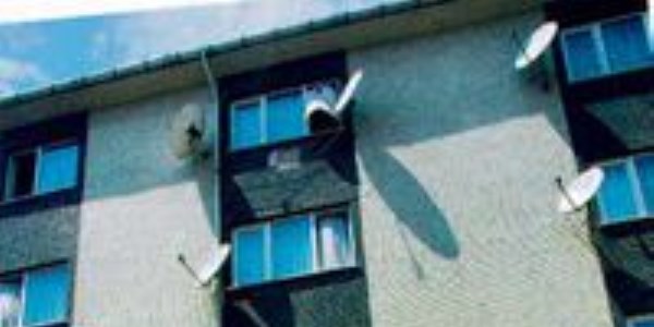 3 çocuk annesini bağlayıp öldürdüler