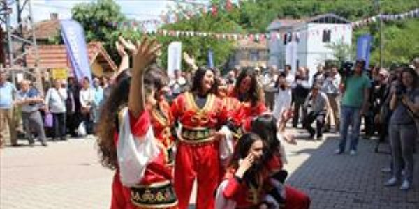Şile Şakayık Şenliği dört yaşında