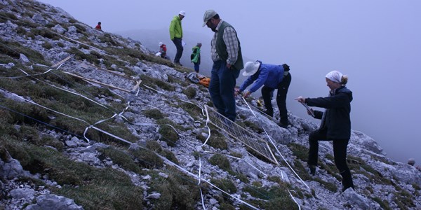 Bitki ve hayvan t�rlerinin b�y�k k�sm�, risk alt�nda