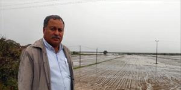 S�ke Ovas�'nda pamuk ekimine ya�mur darbesi