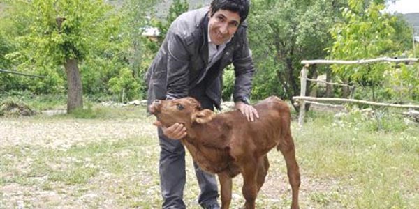 Yeni do�an buza�� kalbini bo�az�nda ta��yor