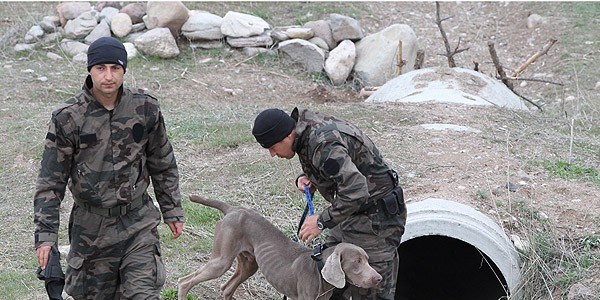 Özel harekatın sığınak köpekleri/Video