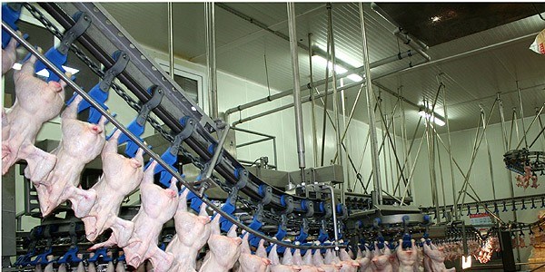 Yıllda 32,6 kilogram et tükettik
