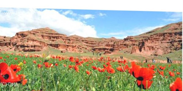 Erzurum'da Tortum Şelalesi ve Peri Bacaları 'Dünya Mirası' adayı