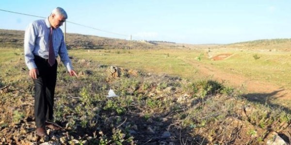 Yezidilerden ağaç kesimine suç duyurusu