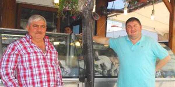 Çınarcık'ta 2 metre boyunda mığrı balığı yakalandı