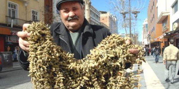 Bu sebze kuruyunca değeri artıyor