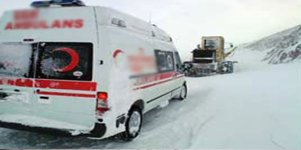Balon kazas�nda yaralananlar�n tedavisi s�r�yor