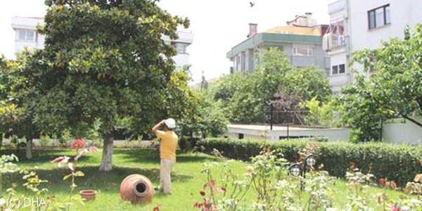 Kargaların saldırısından baretle korunuyorlar