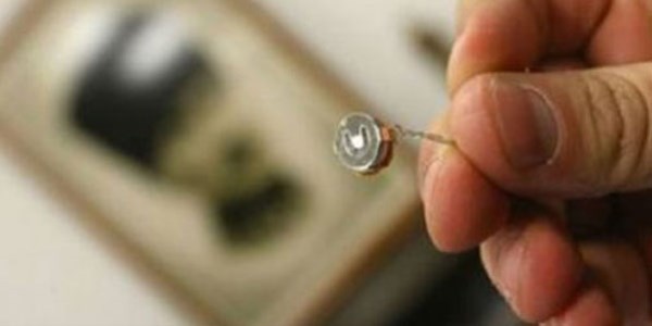 Açılışa gönderilen çiçeğin saksısından 'böcek' çıktı