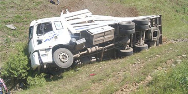 Bingöl'de hayvan yüklü kamyon devrildi