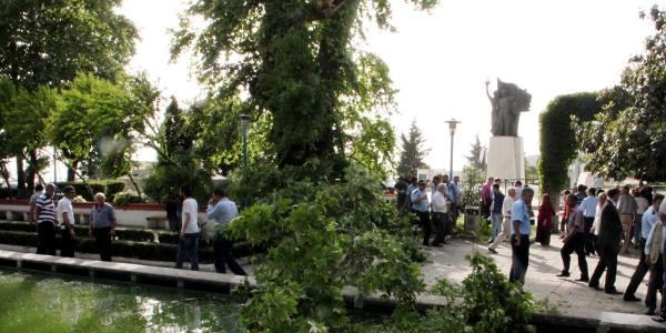 Üzerlerine kırılan ağaç dalı düşen 3 kişi yaralandı