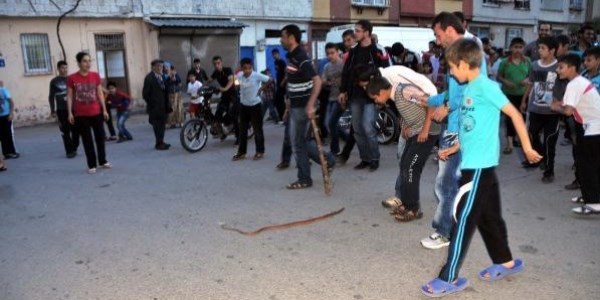 Minibüsün altındaki yılan panik yaşattı