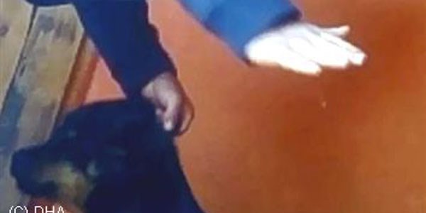 K�peklere dayakl� e�itim merkezine belediye 'dur' dedi
