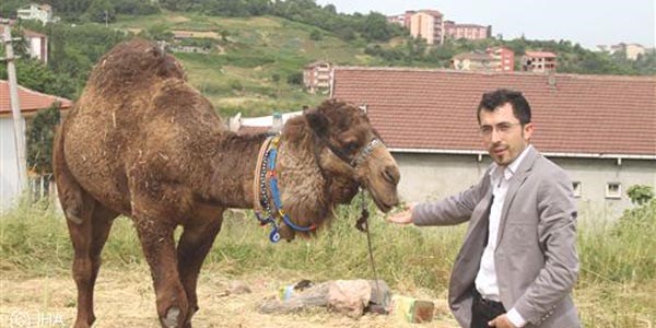 Kermesin duyurusunu deve ile yapacaklar