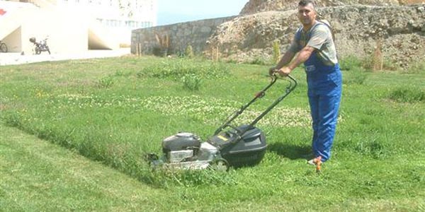 Okulunu güzelleştirdi