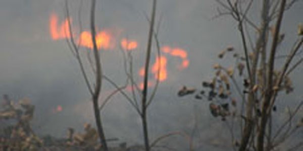 Adıyaman'da arazi yangını