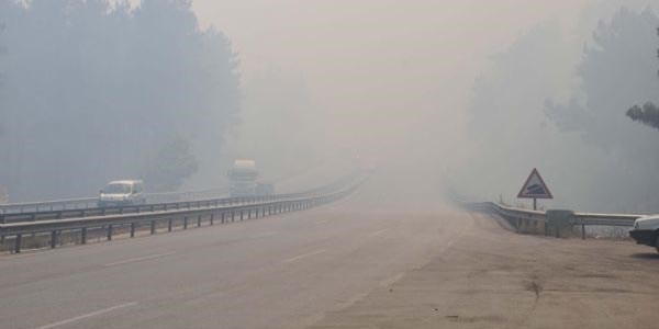 Orman yangını!.. İzmir-İstanbul yolu ulaşıma kapandı