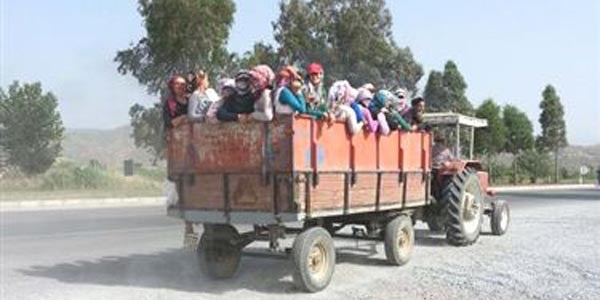 30 lira için ölümle burun buruna yolculuk