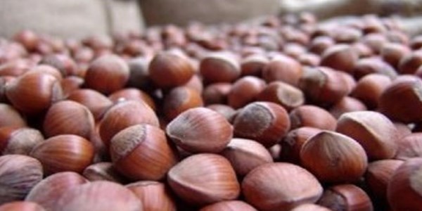 F�nd�kta haziran ay�nda yap�lmas� gerekenler