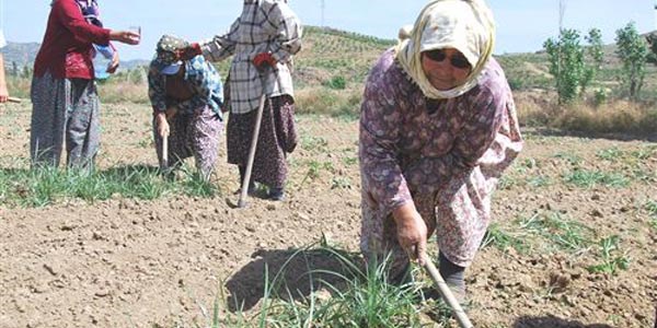 Beyhan nine sağlığını çapasına borçlu olduğunu söyledi
