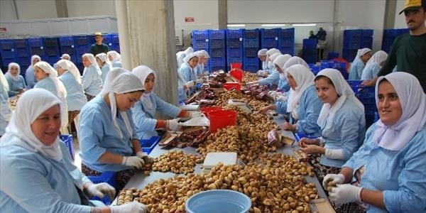Aydın'dan 4 ayda 169 milyon dolarlık ihracat yapıldı