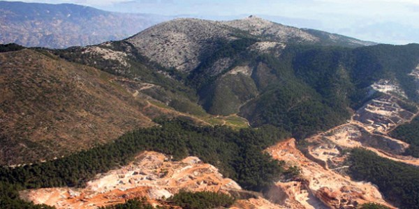 Orman� talan edene bir defal�k af yolda