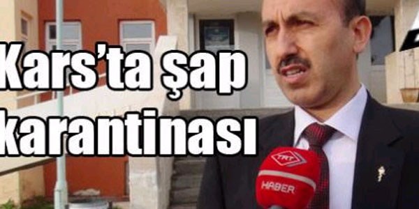 Kars'ta şap hastalığından 600 hayvan telef oldu