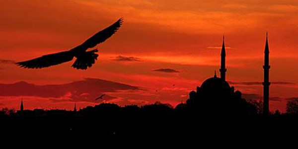 Yar�n Mira� Kandili