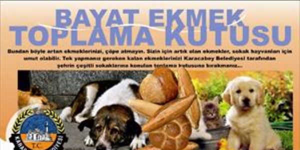 Karacabey'de bayat ekmekler sokak hayvanlar�na