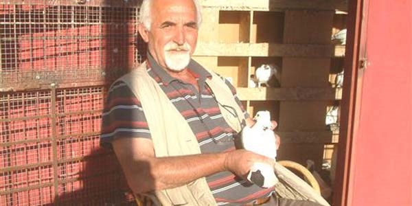 Burhaniye'de emlakçının güvercin tutkusu
