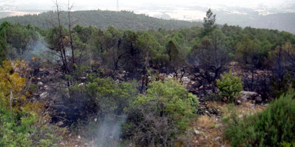 Yıldırımlar 3 noktada orman yangınına neden oldu