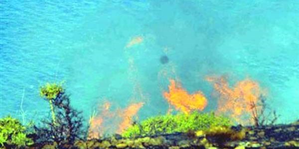 Bodrum'da makilik alanda yangın
