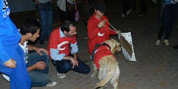 Köpeğine Türk bayraklı tişört giydirdi, gözaltına alındı