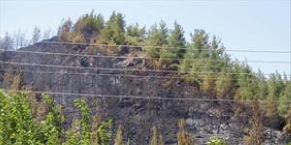 Alevler, Marmaris'te 5 dönüm ormanı küle çevirdi