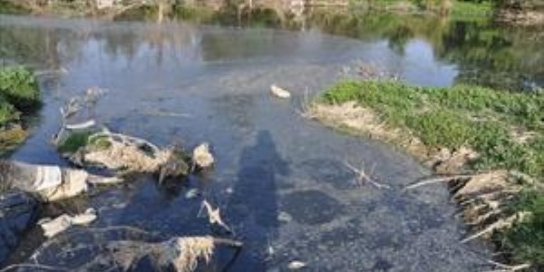 �l genel meclisi �yeleri g�nen �ay�ndaki kirlili�e isyan etti